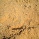Sabbia di Cava